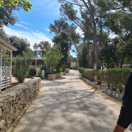 Blue Wave Mobile Camping 4*