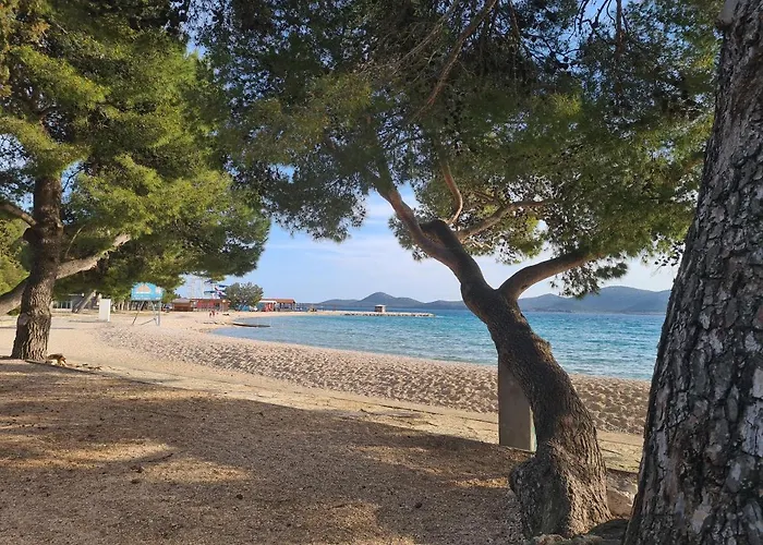 Blue Wave Mobile Kamp